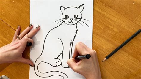 Beginners Lesson How To Draw A Cat Youtube