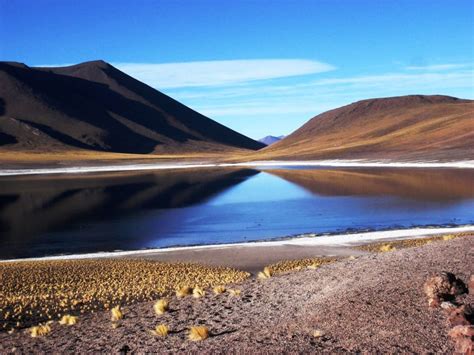 Lagunas Altipl Nicas Salar De Atacama Y Piedras Rojas Getyourguide