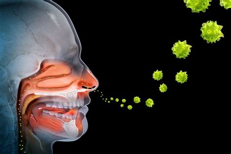 4 Types Of Hypersensitivity Reactions