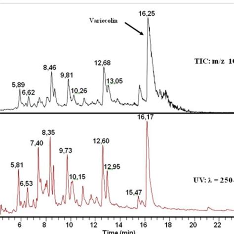 Total Ion Current Tic Chromatogram Of The Crude Extract Of