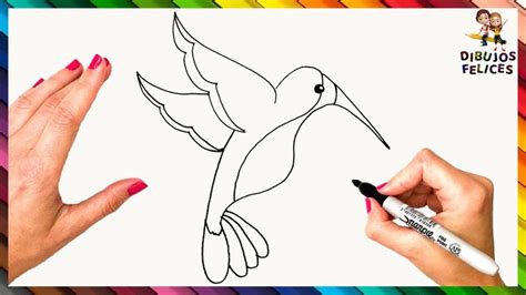 C Mo Dibujar Un Colibri Paso A Paso Dibujo De Colibri Youtube