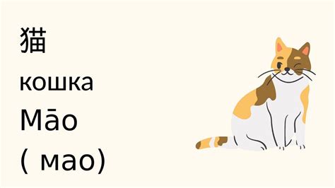 Животные и цифры. Занятие 4 - online presentation