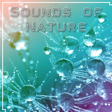 Sounds Of Nature New Age Music With Sounds Of Nature For Relaxation