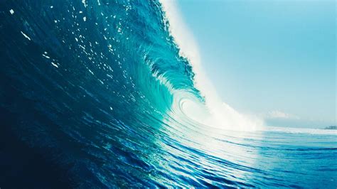 The Punter rides the wave with Carnegie Clean Energy | The Land | NSW 