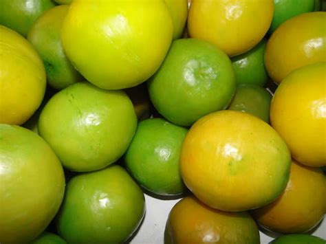 Laranja | Elo7 Produtos Especiais