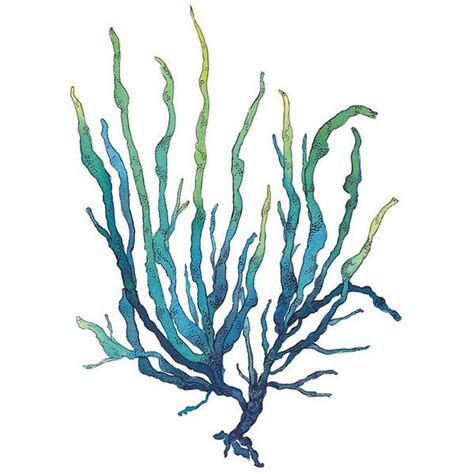 Seaweed Watercolor Painting 8x10 Inch Archival Digital Giclee Print