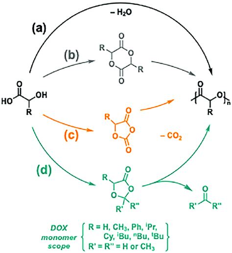 Synthesis Of Poly Hydroxy Acid S Via A Polycondensation Or The