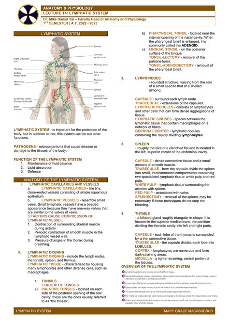 Solution Chapter Lymphatic System Studypool