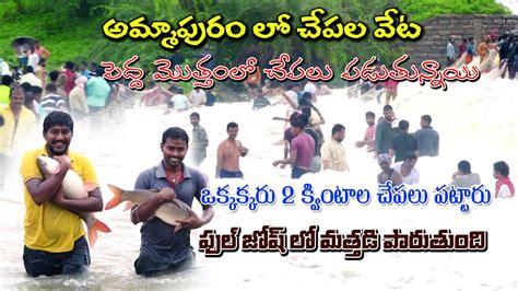 అమ్మాపురంలో చేపల వేట పెద్ద మొత్తంలో చేపలు పడుతున్నాయి 🐟🦈🐠🐡🌧️🌦️ M9