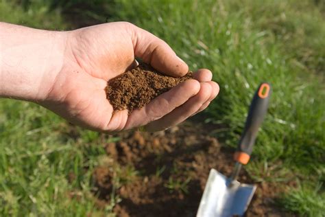 Bodenprobe Richtig Gemacht Gartenfreunde Rheinland