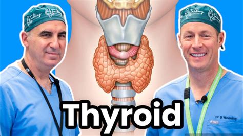 Thyroid Nodules Causes Symptoms And Treatments