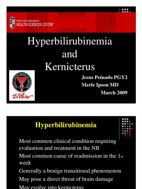 Hyperbilirubinemia Kernicterus And The Risk Factors Pathophysiology