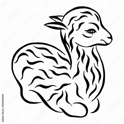 Baby Llama Drawing Cute Curly Llama Silhouette Drawing Vector Black