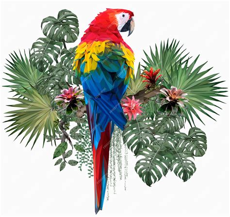 Illustration Polygonale Oiseau Ara Rouge Avec Des Feuilles Damazonie