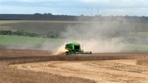 China Divulga Plano De A Es Para Se Tornar Gigante Da Agricultura