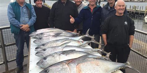 Fishing Report Bluefin Tuna Madness Sharkmen Fishing Charters