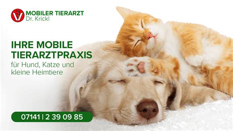 Ihre Mobile Tierarztpraxis für Hund Katze und kleine Heimtiere