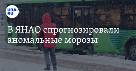 Погода в ЯНАО 13 января: прогноз