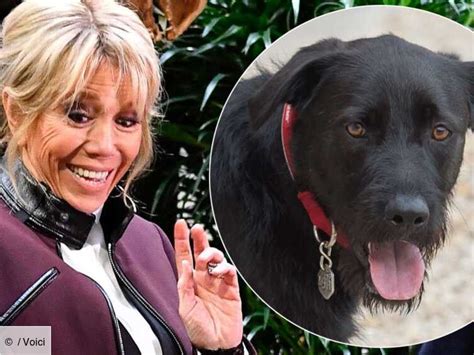 Brigitte Macron surprise en fâcheuse position avec son chien Nemo sur