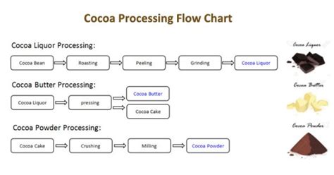 Cocoa Processing Flow Chart (From Bean To Powder) - Cocoa Machinery