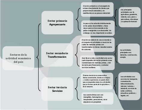 Investigacion Cuadro Sinoptico Pdf