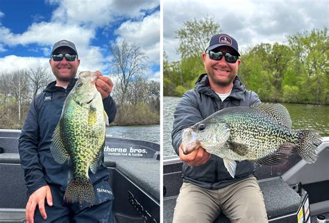 Minnesota Angler Breaks His Own State Record With 175 Inch Crappie