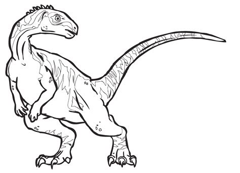 Ispirazione Disegni Da Colorare E Stampare Gratis Dinosauri Migliori