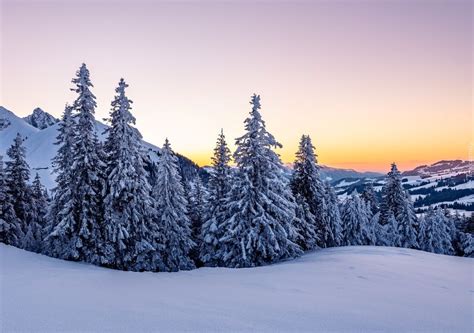 Oggi Il Giorno Del Solstizio D Inverno La Notte Pi Lunga Dell Anno