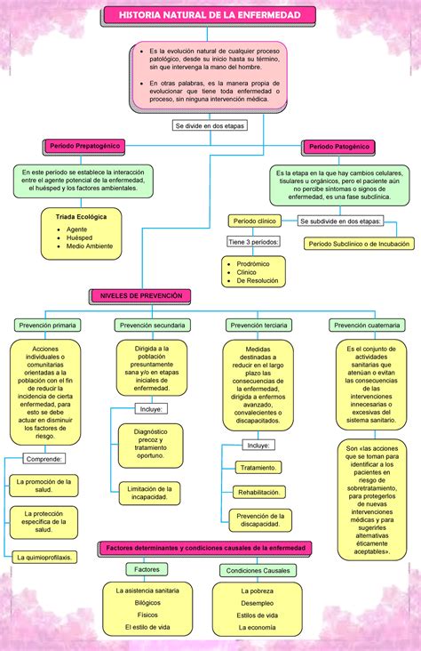 Historia Natural De La Enfermedad Mapa Conceptual Mala Porn Sex Picture