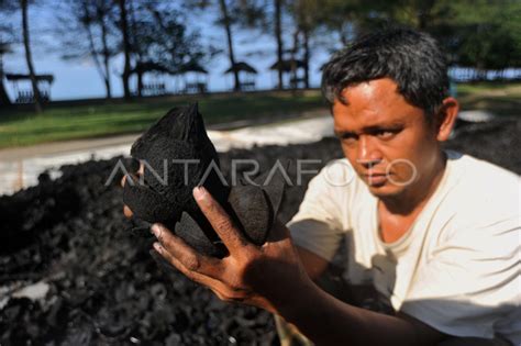 Pengolahan Tempurung Kelapa Untuk Briket Antara Foto