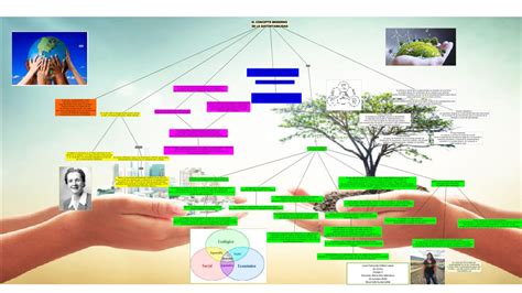 Arriba 83 Imagen Ejes De La Sustentabilidad Mapa Mental Abzlocal Mx