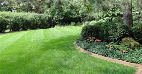 How We Keep Your Lawn Healthy And Thriving American Landscape