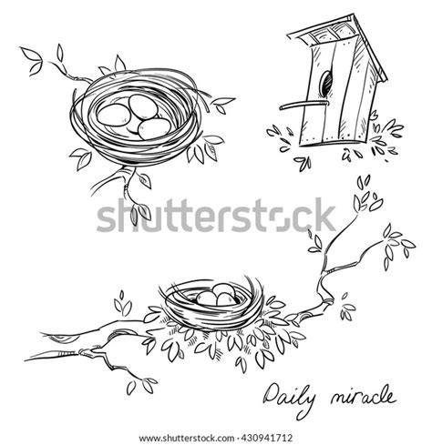 Hand Drawn Nests Birdhouse Line Drawing Stock Vector Royalty Free