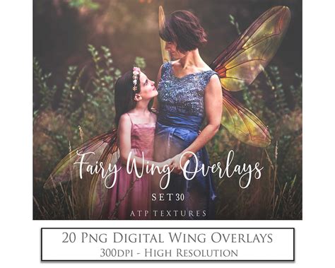 Digital Overlays Png Fairy Wings Set Faery Wing Fine Art