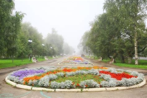 Parque De La Ciudad De Flores De Macizo De Flores Hermosas Flores De