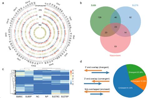 Genome Wide Identification Of Natural Antisense Transcript NAT Pairs