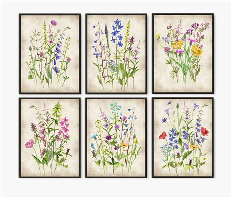 Wildflowers Watercolor Wall Art Set of 6 Prints Wild Field - Etsy