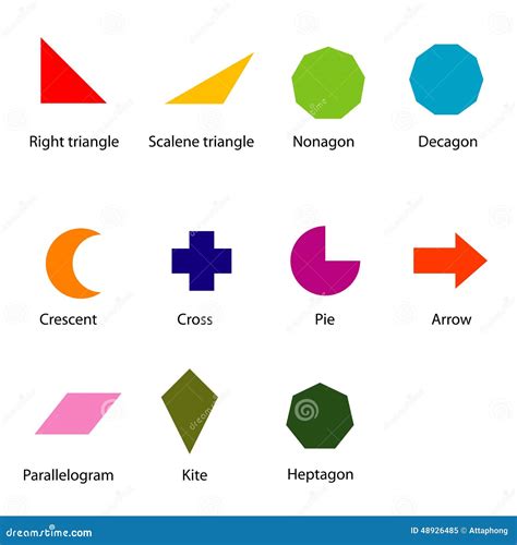 Shapes Chart On A Board With Wild Animals Vector Illustration