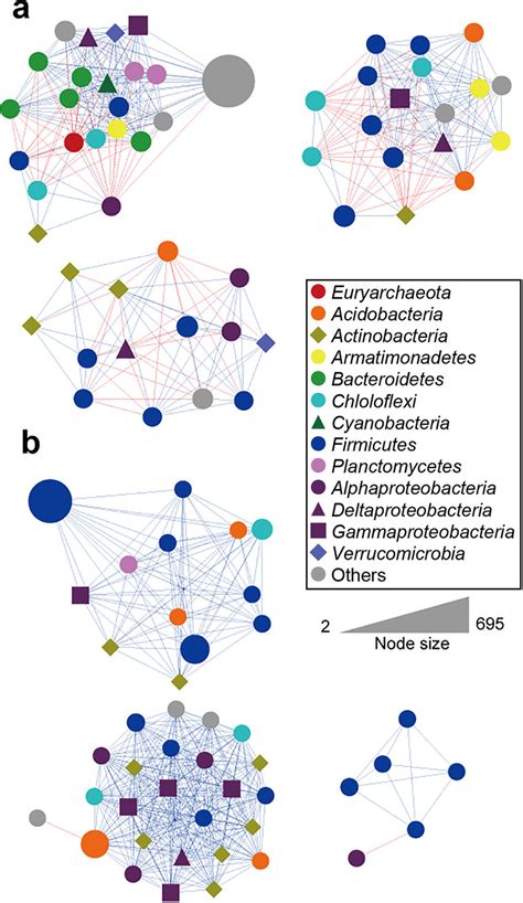 Co Occurrence Networks Based On A Correlation Analysis From Genus Level Download Scientific