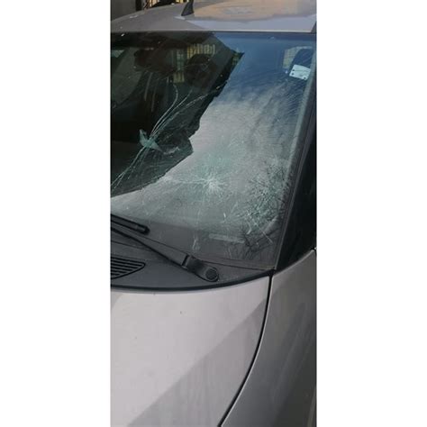 Чайка бутна тухла от сграда във Варна и счупи стъклото на кола