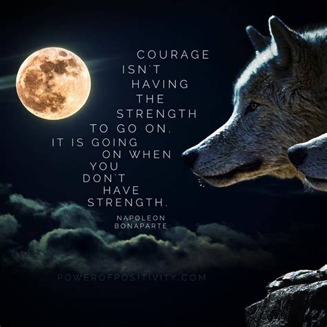 Wolf Quotes