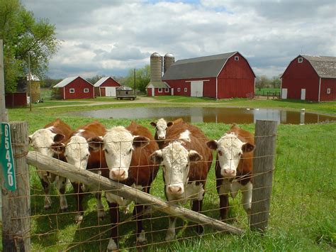 4h Farm Of The Year Shot This Is The Shot Im Sending In W Flickr