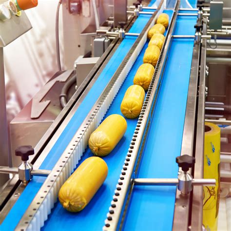 Benefits of Conveyor belt in the Food Industry | - Food Handling Conveyors