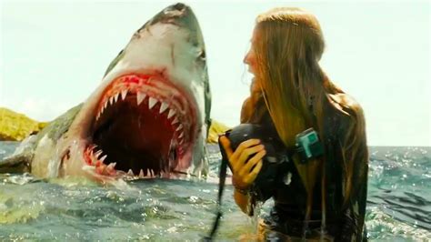 Scientifically Proven Man Eating Great White Sharks Hate The Taste