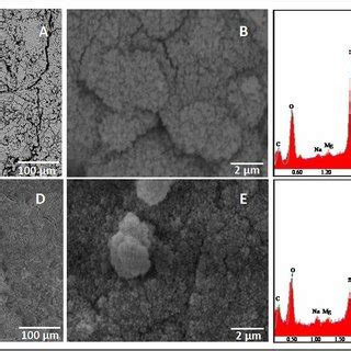 SEM Analysis Of Bioactive Glass B1 Uncoated A And Coated With 0 15