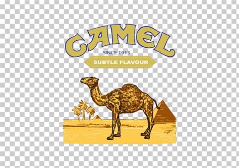 T Shirt Joe Camel Dromedary Cigarette PNG Clipart Arabian Camel