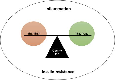Effective Modulation Of Th1th17 And Th2and Tregs Remains Important In