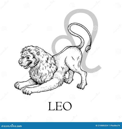 Hand Drawn Leo Zodiac Symbol In Vintage Gravure Or Sketch Style Lion