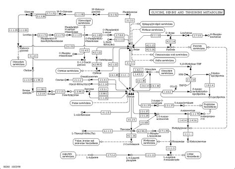 Lon Capa Kegg Glycine Serine And Threonine Metabolism Standard