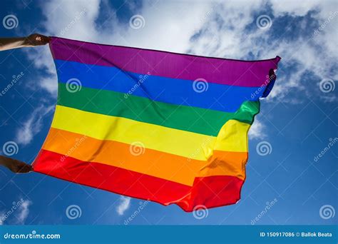 Lgbt Gay Flag Stock Photo Image Of Equality Freedom